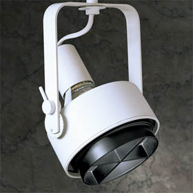 White 4-3/4 in. PAR30 ProSpec Track Light
