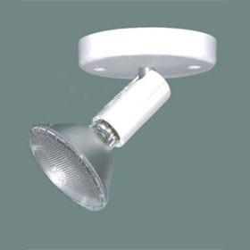 Single 150W PAR38 Lite-Flex Swivel on Canopy